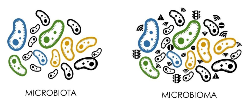 Microbiota Y Microbioma Farm Cia Piqu