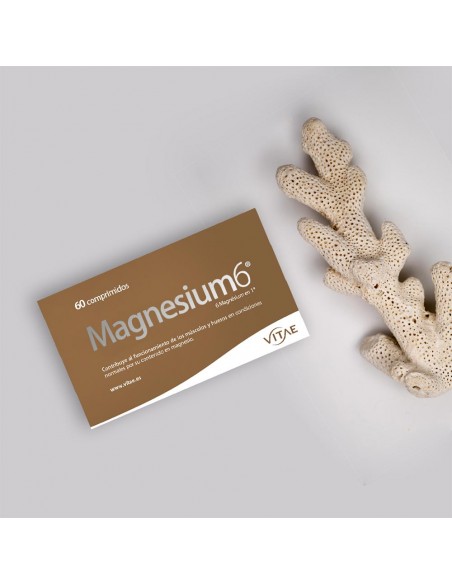 MAGNESIUM 6 20 COMPRIMIDOS